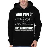 Riemann's Functional Equation Black Hoodie