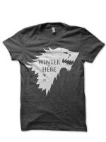 Winter is Here T-Shirt