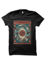 Ray LaMontagne T-Shirt