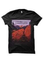Ray LaMontagne T-Shirt