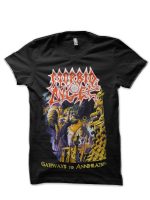 sharkshirts.in