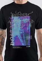sharkshirts.in