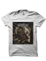 sharkshirts.in