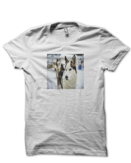 sharkshirts.in