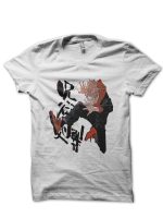 sharkshirts.in