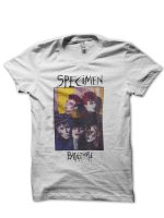 sharkshirts.in