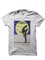 sharkshirts.in