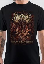 sharkshirts.in
