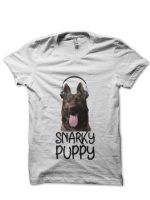 sharkshirts.in