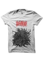 sharkshirts.in