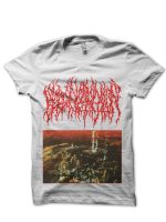 sharkshirts.in