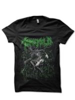 sharkshirts.in