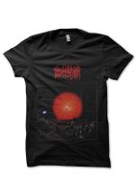 sharkshirts.in