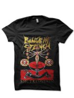 sharkshirts.in