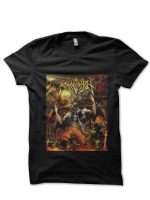 sharkshirts.in