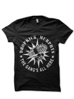 sharkshirts.in