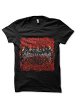sharkshirts.in