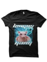 sharkshirts.in