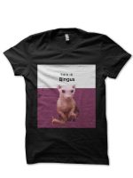sharkshirts.in