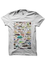 sharkshirts.in