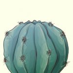 Minimal Cactus Poster