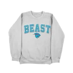 Mr Beast Grey Sweatshirt